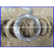 Q195/Q235 Black Annealed Iron Wire for Sale